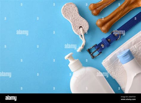 Dog coat care products on blue background. Top view. Horizontal composition Stock Photo - Alamy