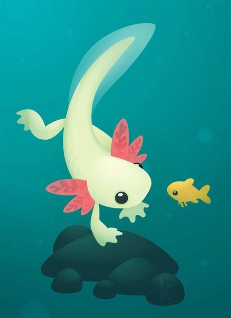 Axolotl Wallpapers - 4k, HD Axolotl Backgrounds on WallpaperBat