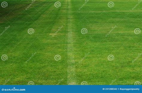 Football Field with Green Grass and Regular Care and Mowing, Stock ...