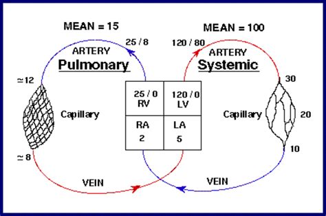 Respiratory Physiology – Part 2 : WFSA - Resources