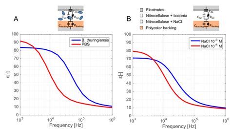 (A) Dielectric permittivity of the nitrocellulose (NC) system as seen... | Download Scientific ...