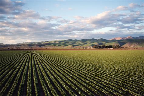 What's The Difference Between a Ranch and a Farm?