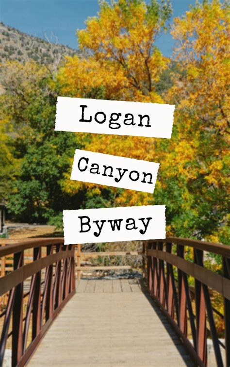 Guide To Driving Logan Canyon Scenic Byway In Utah in 2021 | Scenic ...