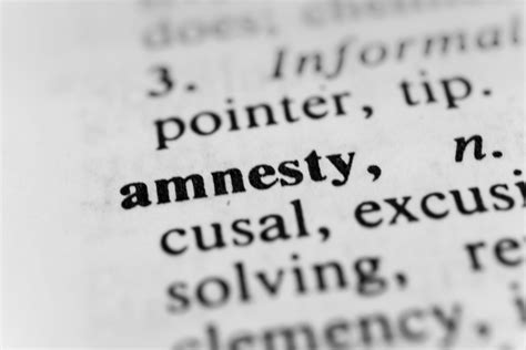 Amnesty Definition