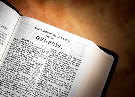 Best Genesis Bible Stock Photos, Pictures & Royalty-Free Images - iStock