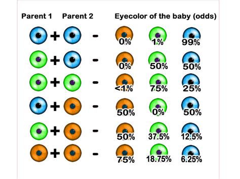 eye color rarity chart rarest colors contacts near me aquasea info of - why do brown eyes have a ...