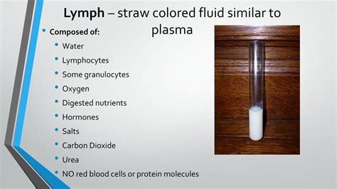 The Lymphatic System & Immunity - ppt download