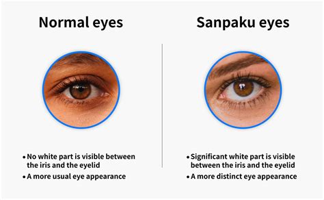 Sanpaku Eyes: a Guide to the Japanese Superstition | T Singapore Blog