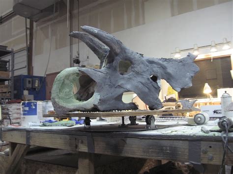 RMDRC paleo lab: Avaceratops Skull Resto