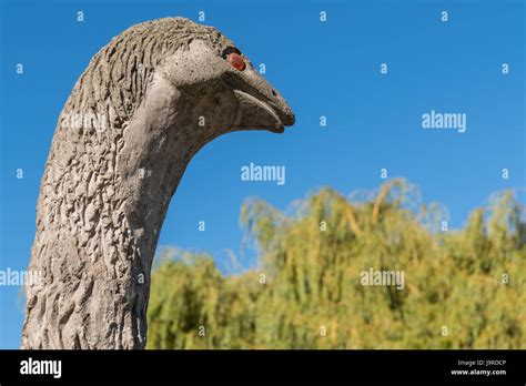 Moa new zealand hi-res stock photography and images - Alamy