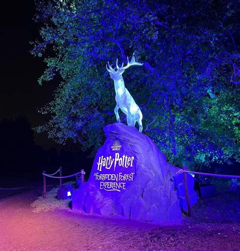 A Harry Potter Forbidden Forest Experience is Coming Just in Time for ...