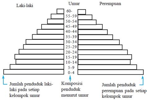 Gambar Piramida Penduduk