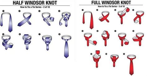 1/2 & Full Windsor knot | Knowledge for Life | Pinterest | Knots, Windsor and Windsor knot