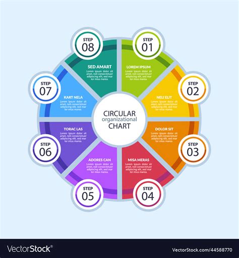 Flat design circular organizational chart Vector Image