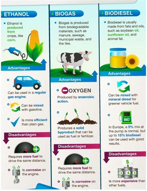 Bio Fuel Types | Sustainable energy, Science projects, Biogas