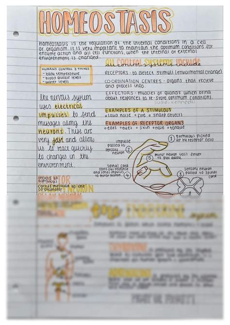 SOLUTION: Gcse biology revision notes inspo aesthetic - Studypool