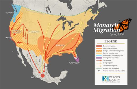 New Jersey’s Key Role in the Monarch Migration « Conserve Wildlife Foundation of New Jersey