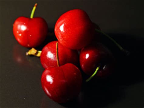 North Star Dwarf Cherry Trees for Sale | Willis Orchard Company