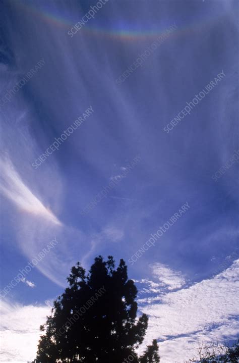 Circumzenithal Arc - Stock Image - C003/4013 - Science Photo Library