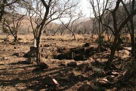 Fossil sites in the Cradle of Humankind – Malapa – Maropeng and ...