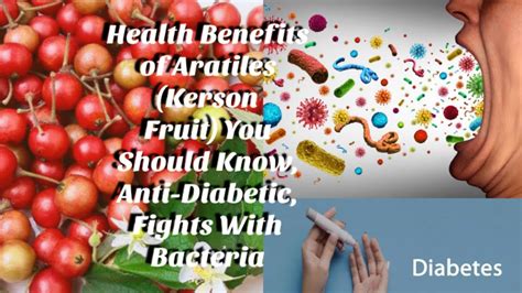 Health Benefits of Aratiles (Kerson Fruit) You Should Know | Anti-Diabetic | Fights With ...