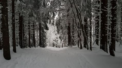 The Big Wobble : Photo of the day! Magical winter wonderland in Oslo