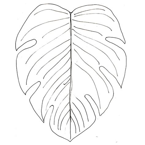 Drawing of the week: Leaves – Ella's Place