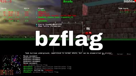 Bzflag server flags - mytechina