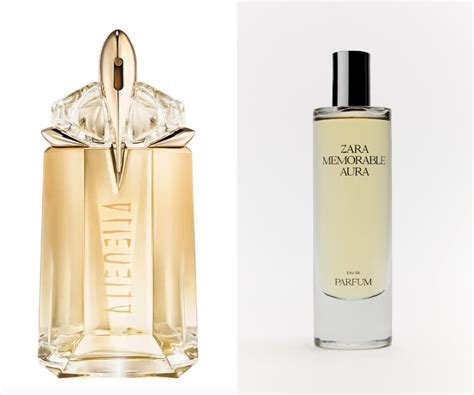 Best Zara Perfumes Dupes 2023: For Your Designer Favourites