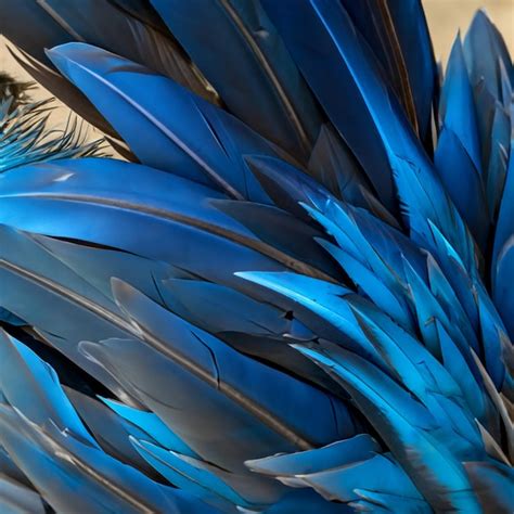 Premium AI Image | Blue grey and white feathers on the wing of a wild ...