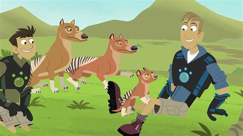 Wild Kratts Wallpapers - Top Free Wild Kratts Backgrounds - WallpaperAccess