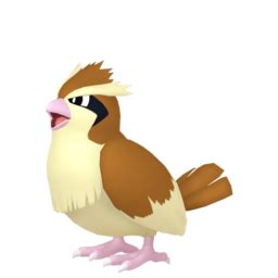 Pidgey sprites gallery | Pokémon Database