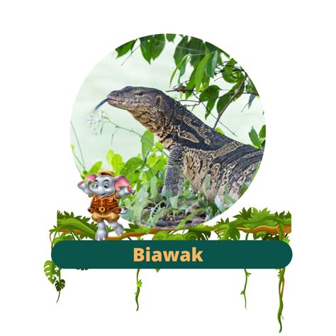 biawak air - Semarang Zoo