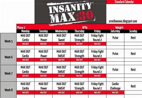 Arnel Banawa: Insanity MAX 30 Workout Sheets - MAX 30 Workout Calendar