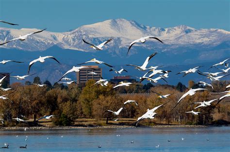 Cherry Creek Reservoir - WorldAtlas