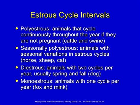 17. The Reproductive System