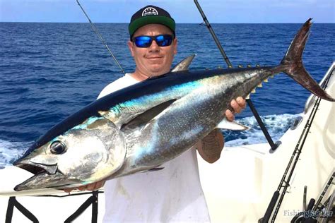 Bluefin Tuna Fishing in San Diego (Updated 2023)