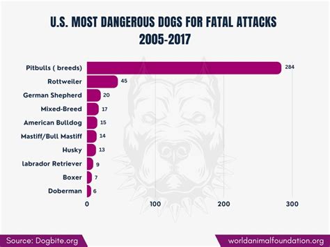 Dog Bite Statistics - Overview Reveals Shocking Revelations