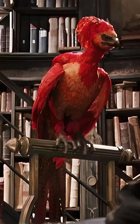 Phoenix feather | Harry Potter Wiki | Fandom powered by Wikia