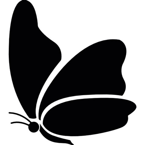 Butterfly,Black-and-white,Clip art,Moths and butterflies,Pollinator ...