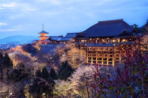 Kiyomizu-dera Temple Cherry Blossoms | Kyoto, Japan