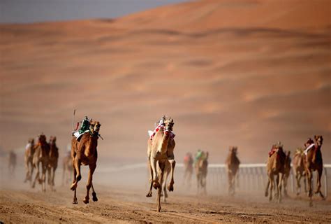 Camel racing in the UAE - CBS News