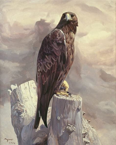 'Nerea' - M. Sosa - Pintura | Eagle painting, Wildlife art, Eagle art