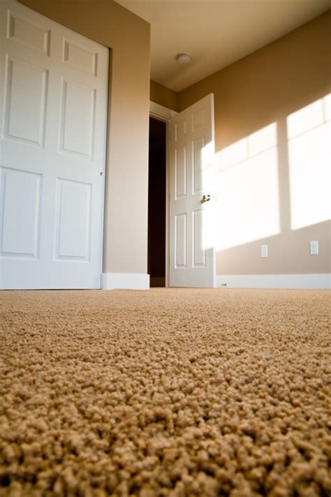 Scotch Guard Protection - Carpet Cleaning In Elkhart, IN