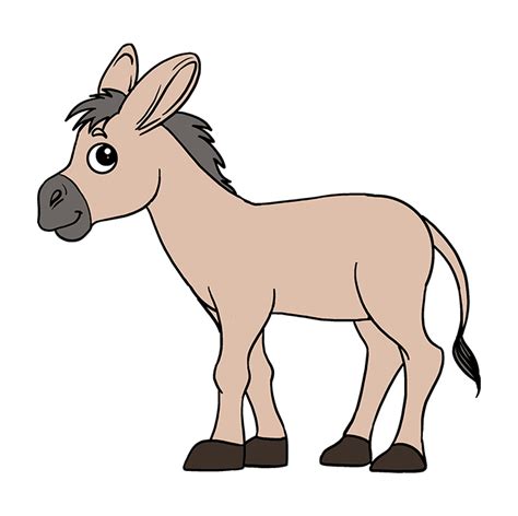 10+ How To Draw A Donkey PNG - Shiyuyem