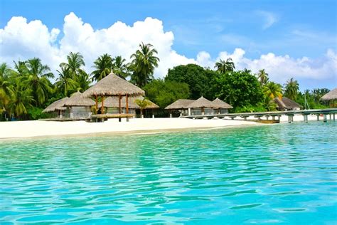 Free photo: Maldives, Coconut Tree, Sea, Resort - Free Image on Pixabay - 262515