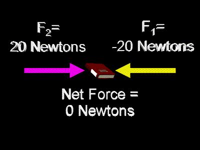 Net Force | Zona Land Education