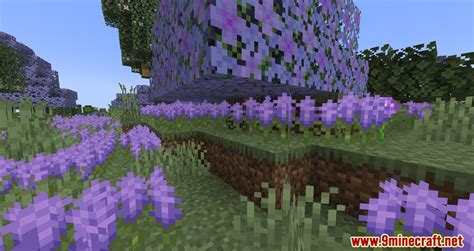 Prominence II Modpack (1.20.1) - Combat, Exploration, Magic and Tech ...