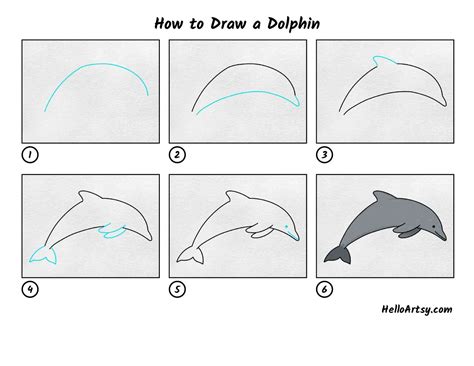 Dolphin Definition How to Draw a Dolphin Easy - Holt Labley