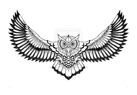 Owl Tattoos For Men Photos Of Works By Pro Tattoo Artists At | Graphic ...